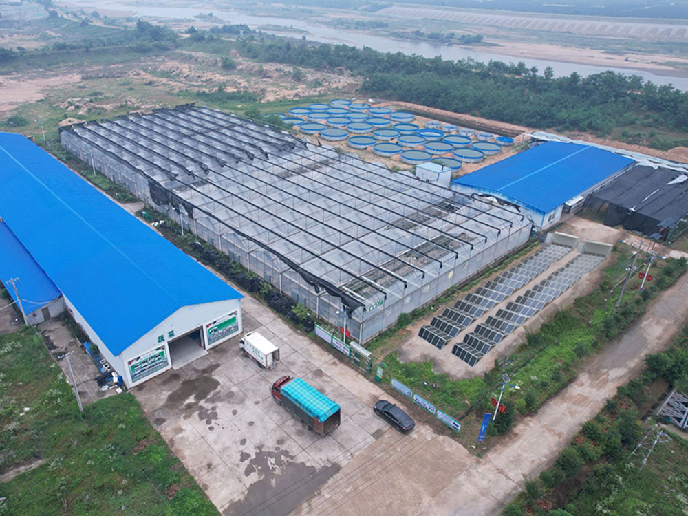 Solar Power Containers for স্ব-প্রদত্ত পাওয়ার সাপ্লাই